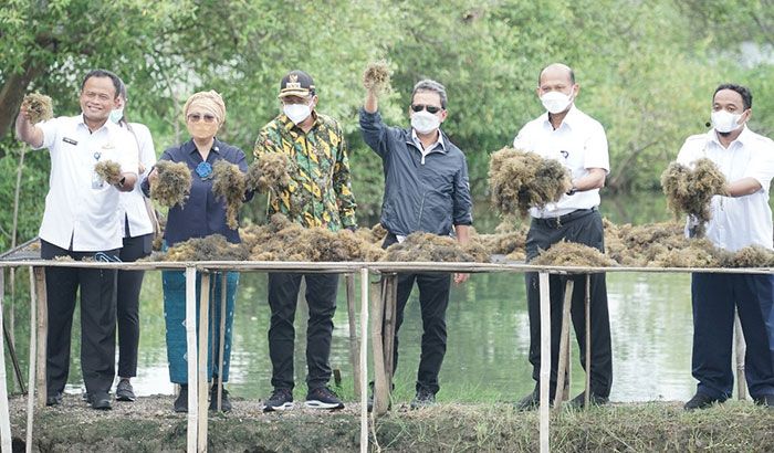 Menteri Kelautan dan Perikanan Canangkan Desa Kupang Sidoarjo Jadi Kampung Budidaya Rumput Laut Menteri Kelautan dan Perikanan Canangkan Desa Kupang Sidoarjo Jadi Kampung Budidaya Rumput Laut