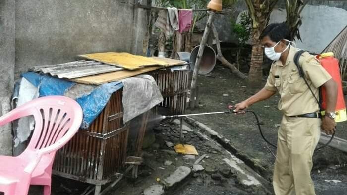 Buntut Kematian Unggas di Magersari, DKPP Mojokerto Curigai H5N1 Buntut Kematian Unggas di Magersari, DKPP Mojokerto Curigai H5N1