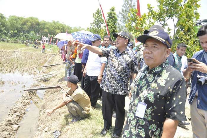 Wabup Tuban Apresiasi Kunjungan Dirjen PSP Kementan