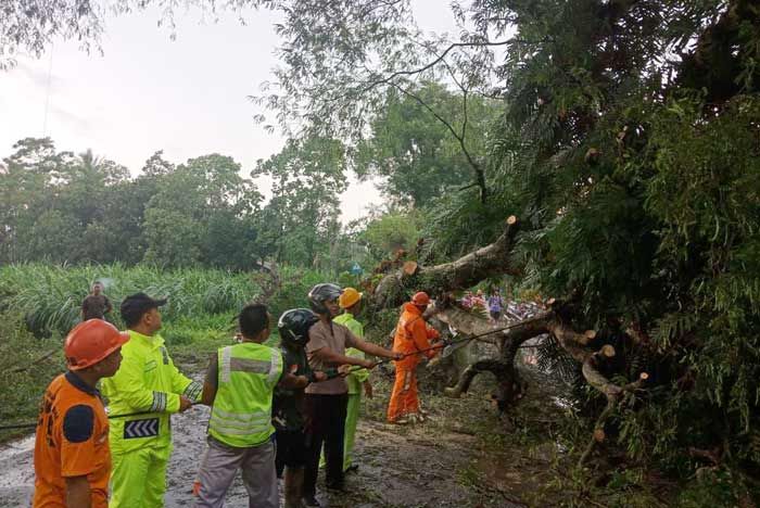 Puting Beliung Landa Blitar, Tewaskan Satu Warga Puting Beliung Landa Blitar, Tewaskan Satu Warga