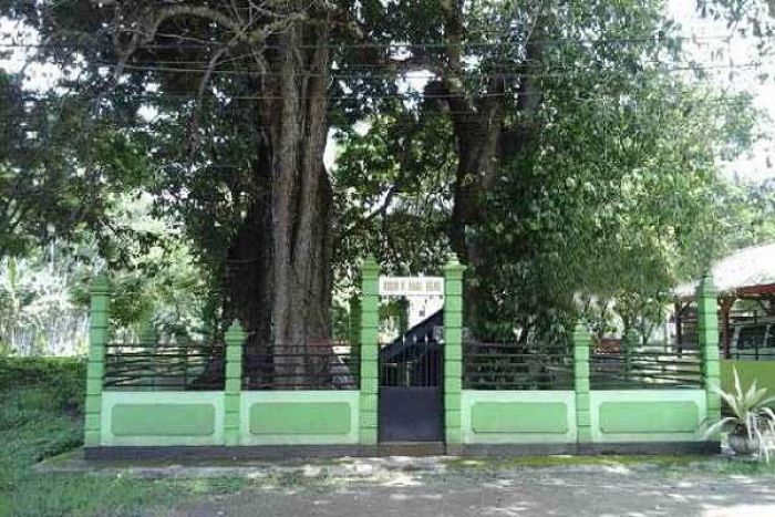 Sekilas Cerita Penumpasan Buwana Keling oleh Ulama di Pacitan Sekilas Cerita Penumpasan Buwana Keling oleh Ulama di Pacitan