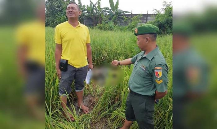 Seminggu Menghilang, Warga Jogodayoh Ditemukan Membusuk di Sawah