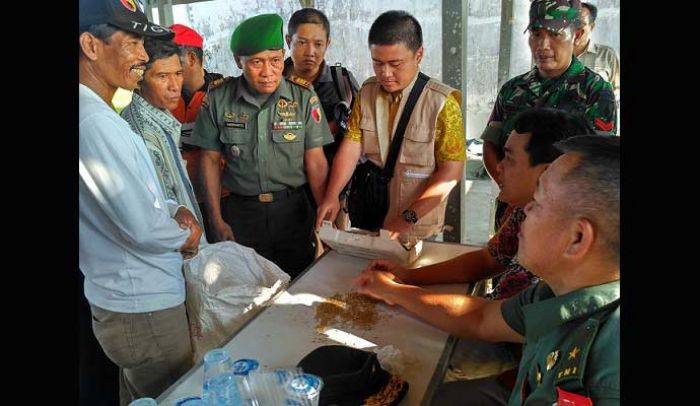 Bulog Beli Kontan Gabah Kering di Tulungagung Rp 4.200 per Kg Bulog Beli Kontan Gabah Kering di Tulungagung Rp 4.200 per Kg