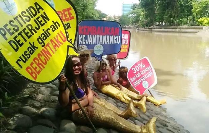 Ada Putri Duyung di Kalimas, Prihatin dan Protes Pencemaran Air di Sungai Ada Putri Duyung di Kalimas, Prihatin dan Protes Pencemaran Air di Sungai