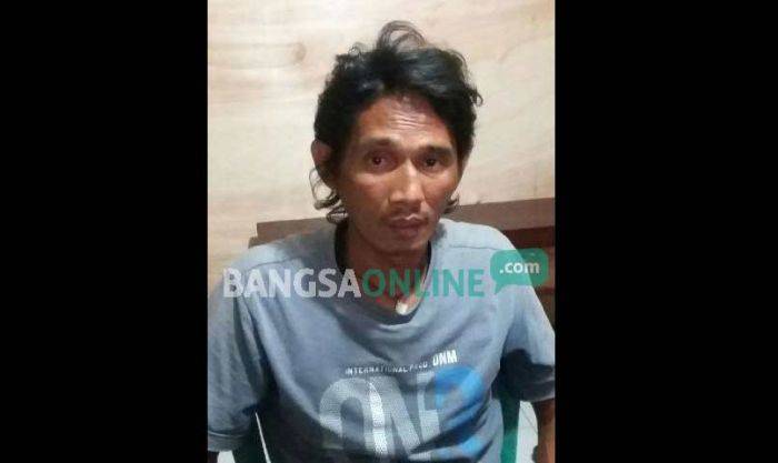 Kambuh, Residivis di Pare Kediri Nyolong Ayam Kambuh, Residivis di Pare Kediri Nyolong Ayam
