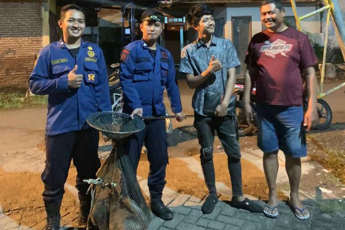Resahkan Warga, Dua dari Lima Monyet Liar di Tanggulangin Sidoarjo Diamankan Damkar Resahkan Warga, Dua dari Lima Monyet Liar di Tanggulangin Sidoarjo Diamankan Damkar