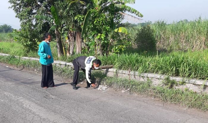 Pesepeda Pancal Tewas Tertabrak Truk di Jalan Raya Kedung Jarak Sidoarjo Pesepeda Pancal Tewas Tertabrak Truk di Jalan Raya Kedung Jarak Sidoarjo
