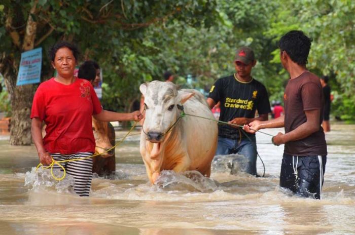 Bojonegoro Darurat Banjir, Ribuan Rumah Terendam, Ratusan Orang Mengungsi Bojonegoro Darurat Banjir, Ribuan Rumah Terendam, Ratusan Orang Mengungsi
