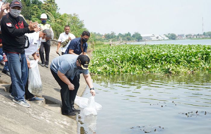 Jaga Kelestarian, Bupati Kediri Tebar 50.000 Benih Ikan di Sungai Brantas Jaga Kelestarian, Bupati Kediri Tebar 50.000 Benih Ikan di Sungai Brantas
