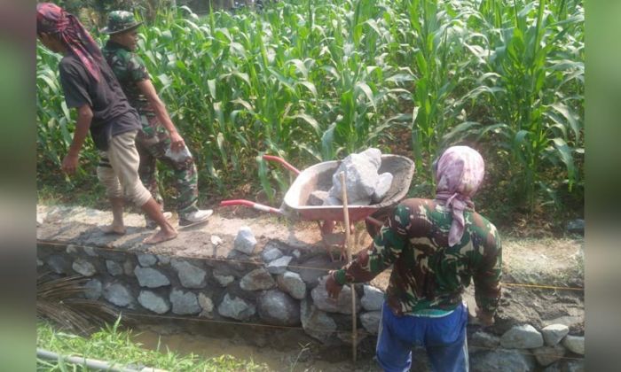 Satgas TMMD Kodim 0818 Bangun Saluran Irigasi Bagi Petani Kedungsalam Satgas TMMD Kodim 0818 Bangun Saluran Irigasi Bagi Petani Kedungsalam