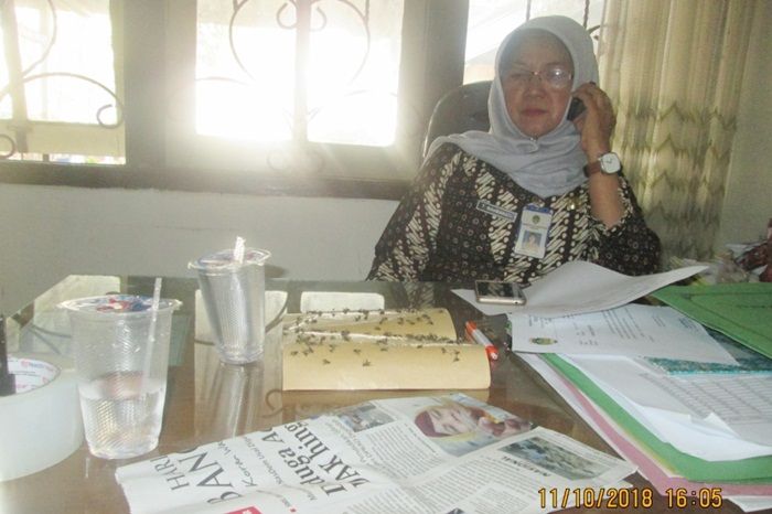 Geger, Kantor Dinsos Kabupaten Madiun Diserang Musca Domestica
