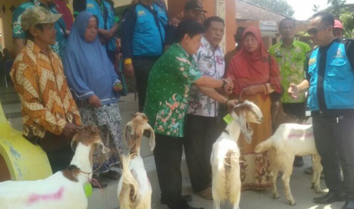 Dinsos Lamongan Serahkan Bantuan Ternak Kambing Eks ODGJ 