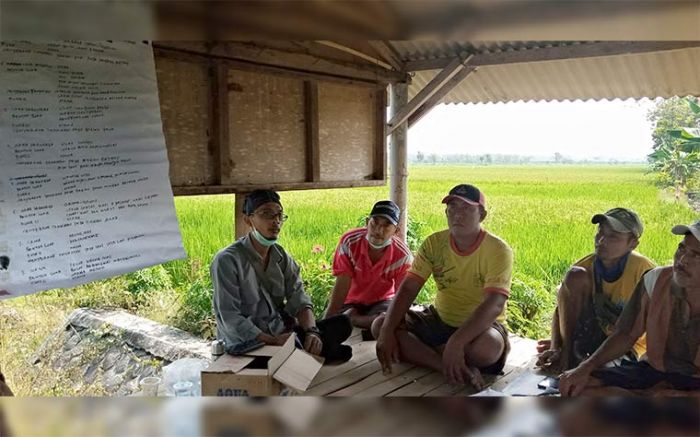 Dampingi Petani Tanggulangi Hama, UPT PTPH Dinas Pertanian Jatim Dorong Penggunaan Bahan Organik