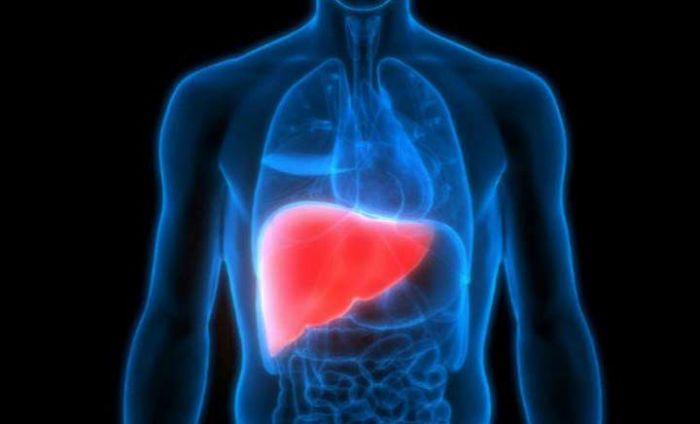 Warga Terpapar Hepatitis A di Pacitan Capai 1.102 Jiwa Warga Terpapar Hepatitis A di Pacitan Capai 1.102 Jiwa