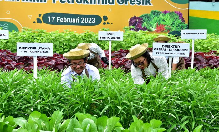 Petrokimia Gresik Sulap Lahan Pemakaman Jadi Moslem Memorial Park dan Kebun Sayuran Petrokimia Gresik Sulap Lahan Pemakaman Jadi Moslem Memorial Park dan Kebun Sayuran