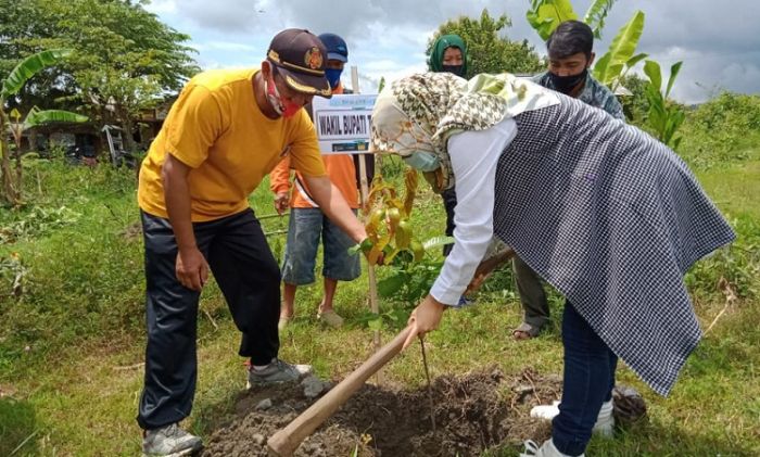 Wabup Kediri Terpilih Tanam Pohon di Lereng Gunung Wilis Wabup Kediri Terpilih Tanam Pohon di Lereng Gunung Wilis