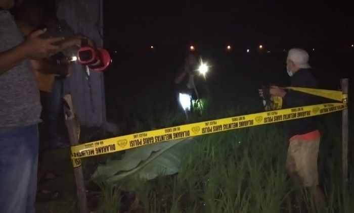 Kesetrum Jebakan Tikus, Seorang Petani di Ngawi Tewas Kesetrum Jebakan Tikus, Seorang Petani di Ngawi Tewas
