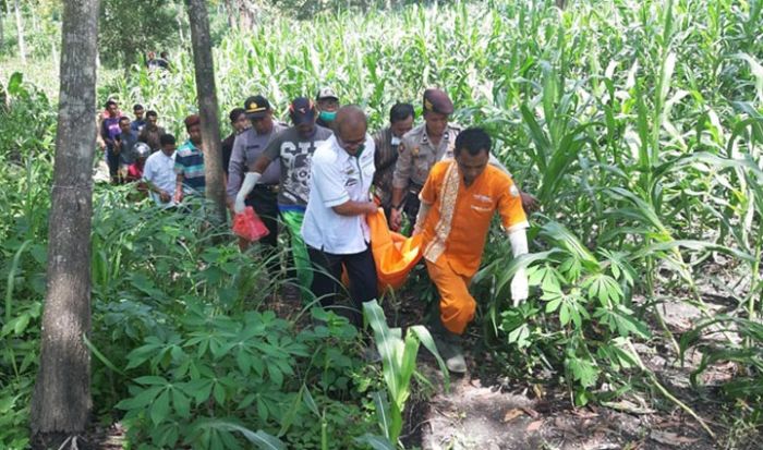 ​Seorang Wanita Muda Ditemukan Tewas Tanpa Busana di Kebun Jagung Ngawi
