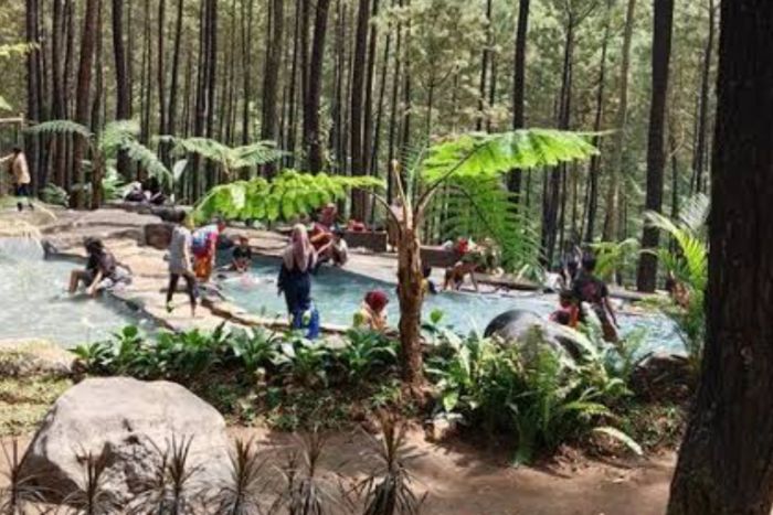 Tiket Masuk, Rute, dan Aktivitas Klurak Eco Park Mojokerto Bulan ini Tiket Masuk, Rute, dan Aktivitas Klurak Eco Park Mojokerto Bulan ini