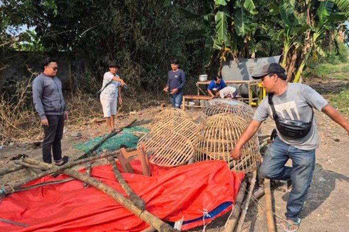 Sabung ayam di Mojokerto, Polisi Amankan 5 Orang dan 18 Ekor Ayam