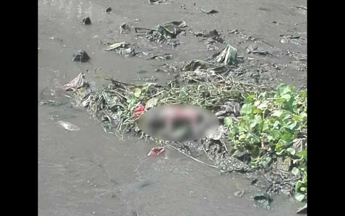 Mayat Bayi Nyangkut di Eceng Gondok Gegerkan Warga Desa Arjosari, Pasuruan Mayat Bayi Nyangkut di Eceng Gondok Gegerkan Warga Desa Arjosari, Pasuruan