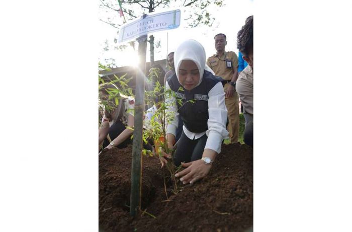 Bupati Mojokerto Resmikan Sentra Bambu Seluas 1,7 Hektare di Pacet Bupati Mojokerto Resmikan Sentra Bambu Seluas 1,7 Hektare di Pacet