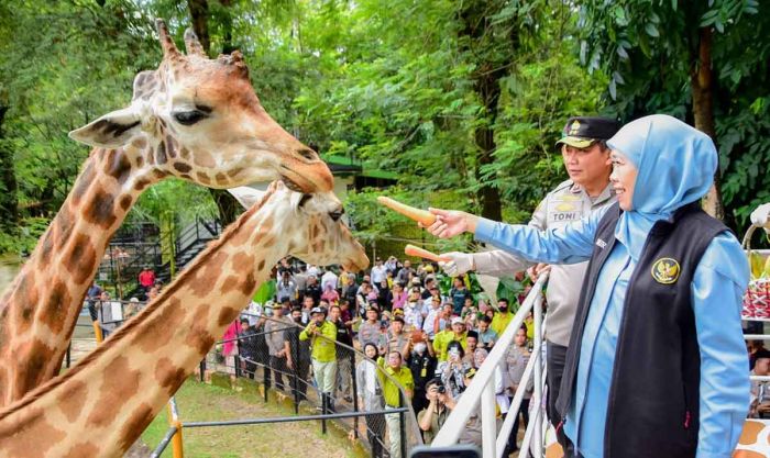 Kunjungan Wisatawan Mancanegara Meningkat, Gubernur Khofifah Beberkan Alasannya Kunjungan Wisatawan Mancanegara Meningkat, Gubernur Khofifah Beberkan Alasannya