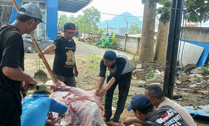 Polres Batu Distribusikan 39 Hewan Kurban di Idul Adha 2026