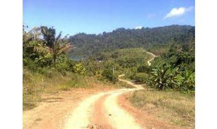 Pembebasan Lahan JLS Sulit, Bupati Tulungagung Minta Jokowi Lobi Perhutani Pembebasan Lahan JLS Sulit, Bupati Tulungagung Minta Jokowi Lobi Perhutani