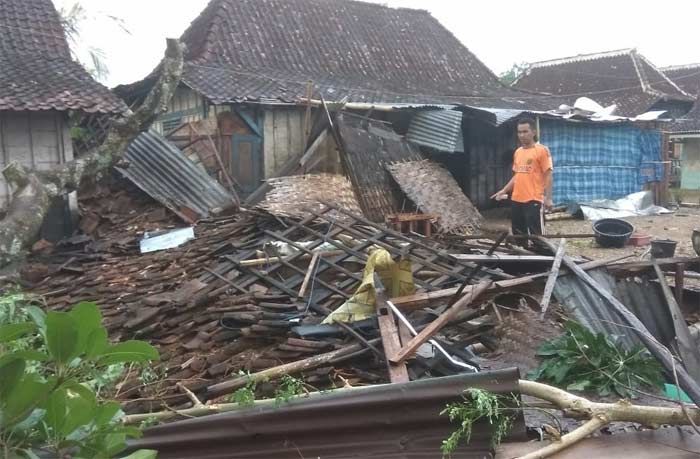 Hujan Deras Disertai Angin di Bojonegoro, Pepohonan Tumbang hingga Rumah Roboh