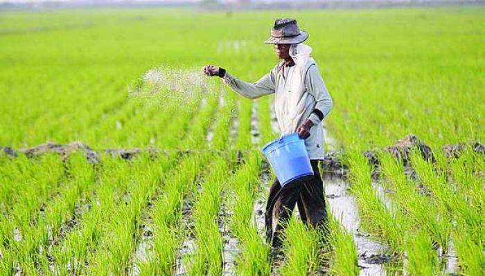 Petani Perlu Tahu Adanya Asuransi Pertanian Petani Perlu Tahu Adanya Asuransi Pertanian