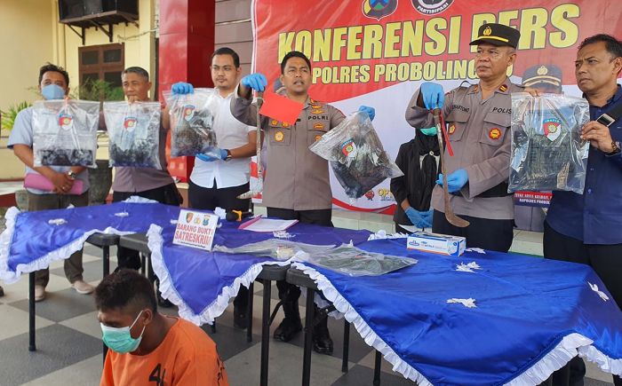 Bermotif Perselingkuhan, Polisi Tangkap Pelaku Pembunuhan Tukang Ojek Wonosari Probolinggo Bermotif Perselingkuhan, Polisi Tangkap Pelaku Pembunuhan Tukang Ojek Wonosari Probolinggo