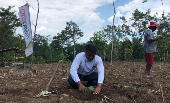 Ketua HKTI Jember Sulap Lahan Kering Menjadi Lahan Produktif dan Sebagai Tempat Edukasi