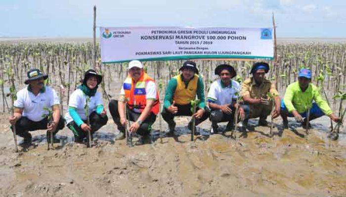 Bentengi Bibir Pantai, Petrokimia Gresik Tebar Ratusan Ribu Mangrove Bentengi Bibir Pantai, Petrokimia Gresik Tebar Ratusan Ribu Mangrove
