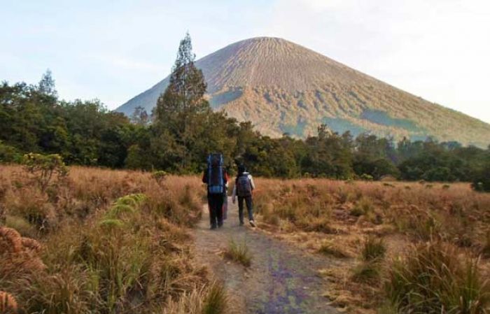 Sempat Ditutup 3 Bulan, Pendakian Semeru Dibuka Lagi Sempat Ditutup 3 Bulan, Pendakian Semeru Dibuka Lagi