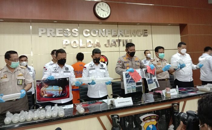 Polda Jatim Gagalkan Penyelundupan Ribuan Benih Lobster Jenis Pasir dan Mutiara Polda Jatim Gagalkan Penyelundupan Ribuan Benih Lobster Jenis Pasir dan Mutiara
