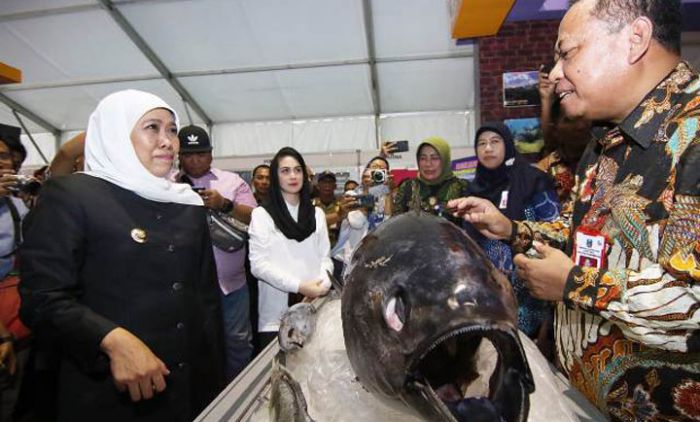 Pecahkan Rekor MURI, Gubernur Khofifah Dorong Mamin Ekonomi Kreatif Berbasis Ikan Pecahkan Rekor MURI, Gubernur Khofifah Dorong Mamin Ekonomi Kreatif Berbasis Ikan