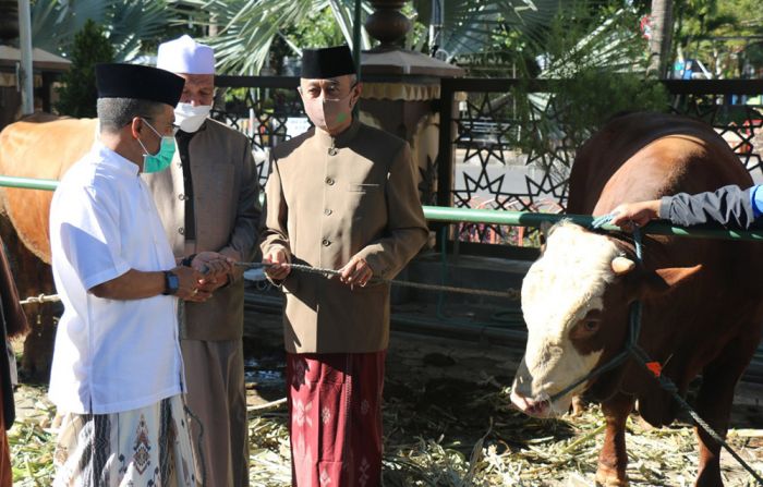 Wakil Wali Kota Serahkan Hewan Kurban di Masjid Agung An-Nuur Wakil Wali Kota Serahkan Hewan Kurban di Masjid Agung An-Nuur