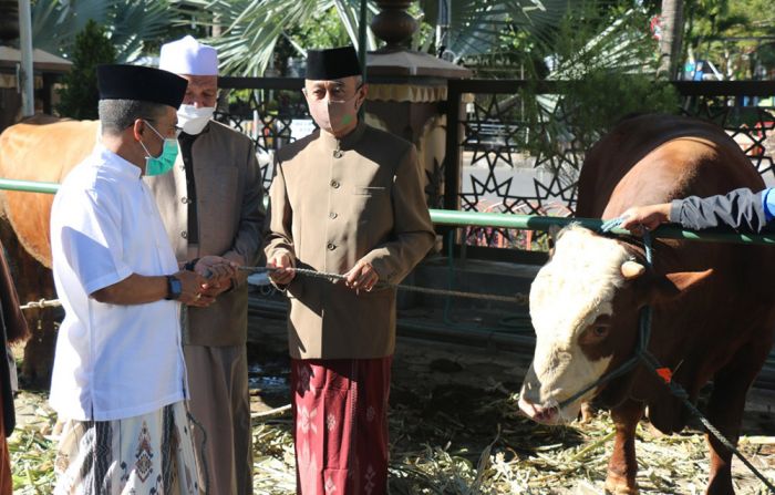 Wakil Wali Kota Serahkan Hewan Kurban di Masjid Agung An-Nuur