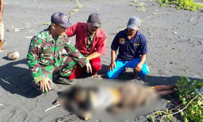 Kelaparan, Wanita ini Mati di Tepi Pantai Wotgalih Kelaparan, Wanita ini Mati di Tepi Pantai Wotgalih