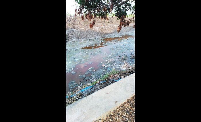 Banyak Warga Tawangrejo Madiun Keluhkan Pusing Akibat Sungai Kayen Tercemar Banyak Warga Tawangrejo Madiun Keluhkan Pusing Akibat Sungai Kayen Tercemar