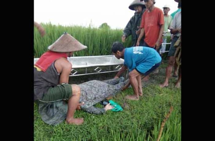 Usai Panen Jagung, Perempuan Paruh Baya di Bojonegoro Tewas Disambar Petir