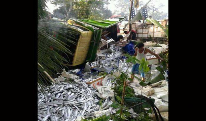 Kecelakaan di Raya Panggul Trenggalek: Rem Blong, Truk Ikan Terperosok ke Jurang