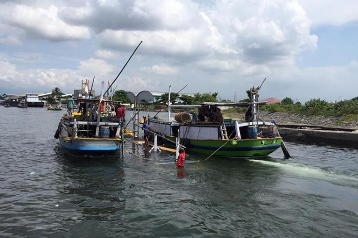 Kapal Bermuatan Ikan Tenggelam di Laut Probolinggo, 7 ABK Selamat Kapal Bermuatan Ikan Tenggelam di Laut Probolinggo, 7 ABK Selamat