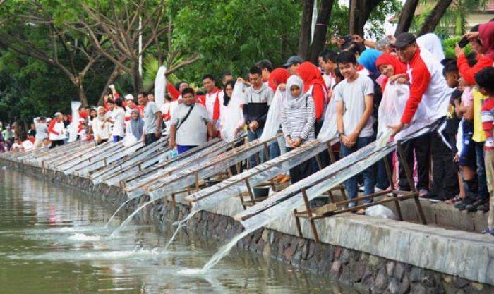 Ribuan Bibit Ikan Ditebar di Kolam Konservasi Unair Ribuan Bibit Ikan Ditebar di Kolam Konservasi Unair