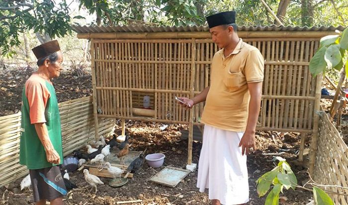 Kades Gili Timur Pantau Bantuan Ayam Joper Pasca Didistribusikan kepada RTPM