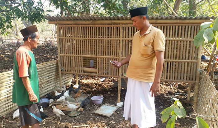 Kades Gili Timur Pantau Bantuan Ayam Joper Pasca Didistribusikan kepada RTPM Kades Gili Timur Pantau Bantuan Ayam Joper Pasca Didistribusikan kepada RTPM
