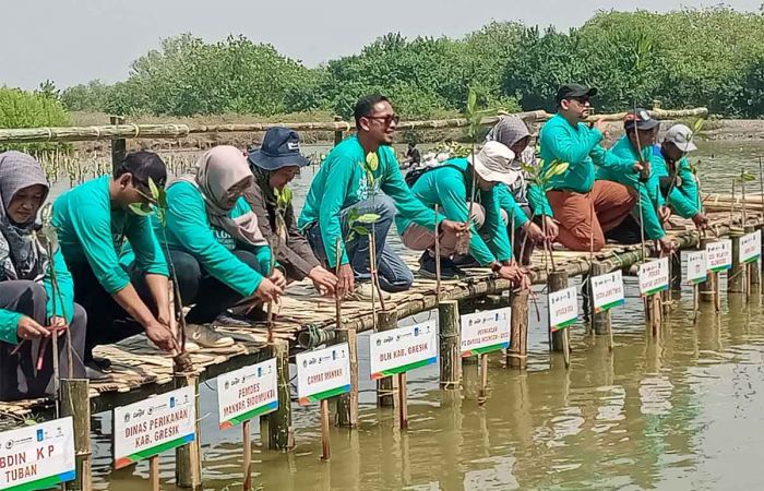 Selain Tanam 16.000 Bibit, Cargill Resmikan Arboretum Mangrove di Kalimireng Gresik Selain Tanam 16.000 Bibit, Cargill Resmikan Arboretum Mangrove di Kalimireng Gresik