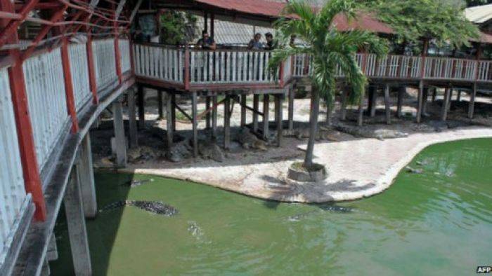 Modus Baru untuk Bunuh Diri, Masuk Kolam Buaya Modus Baru untuk Bunuh Diri, Masuk Kolam Buaya