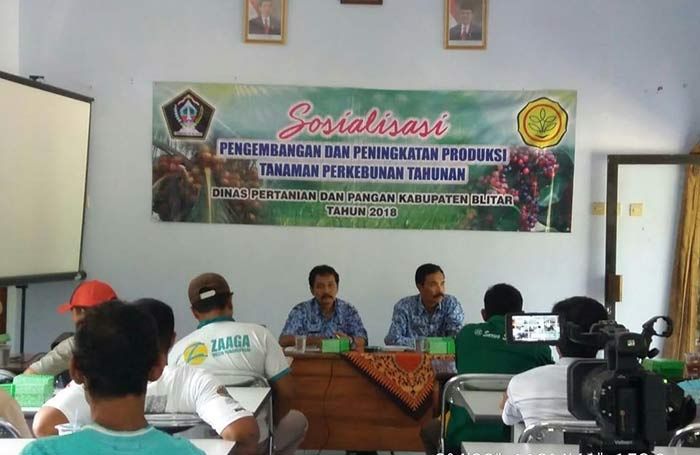 Dinas Pertanian Pangan Blitar Sosialisasikan Pengembangan dan Peningkatan Produksi Buah Kelapa